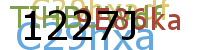 PROMOTION AGENCY