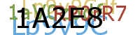 ROB DESIGN AGENCY