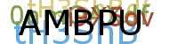 PROMOTION AGENCY