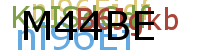 PROMOTION AGENCY