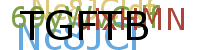 PROMOTION AGENCY