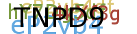 PROMOTION AGENCY
