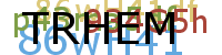 PROMOTION AGENCY