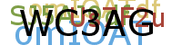 PROMOTION AGENCY