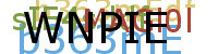 PROMOTION AGENCY