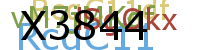 PROMOTION AGENCY