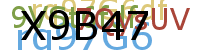 PROMOTION AGENCY